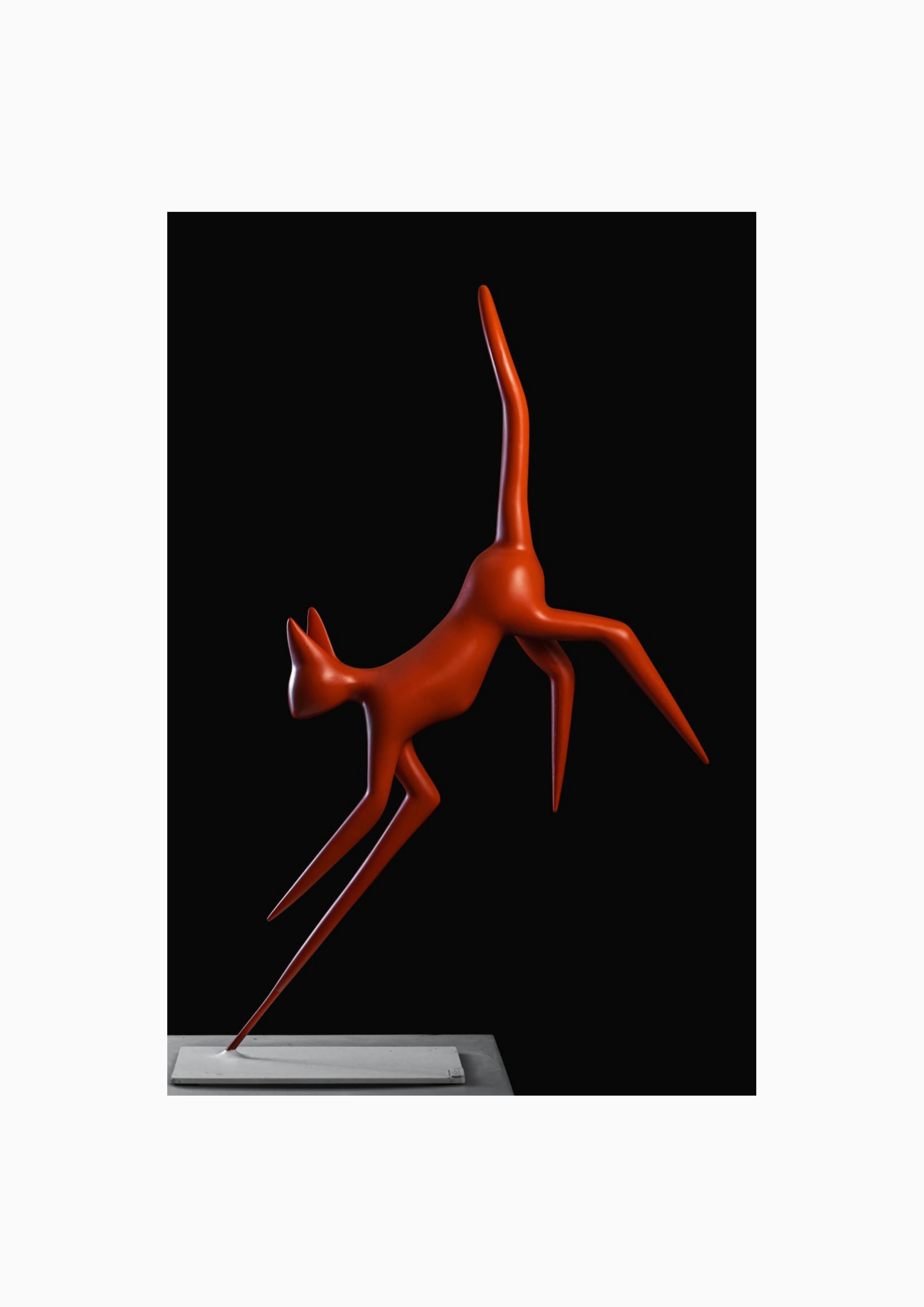 Olivier CAUX - Chat Orange