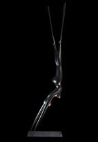 Olivier CAUX - Submarine